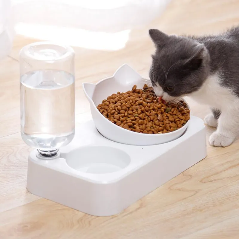 Automatic Pet Feeder with Water Dispenser